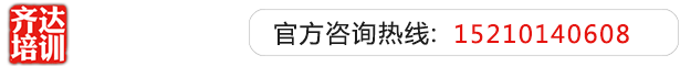 17c网站内射齐达艺考文化课-艺术生文化课,艺术类文化课,艺考生文化课logo